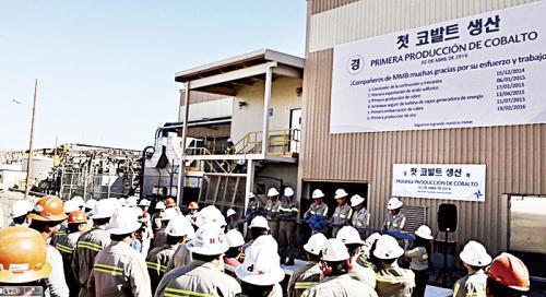 멕시코 볼레오 사업 첫 코발트 생산을 축하하는 광물자원공사 직원들.