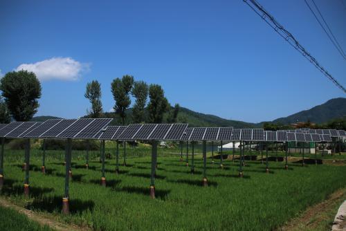 경기 가평군에 위치한 농가참여형 태양광발전소.