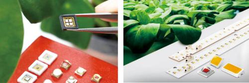 LG이노텍의 식물생장용 LED(왼쪽)과 삼성전자의 식물생장용 LED.