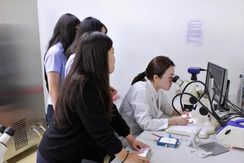 프로그램에 참여한 학생들은 방사선 생물학 실습에 참여하고 있다.