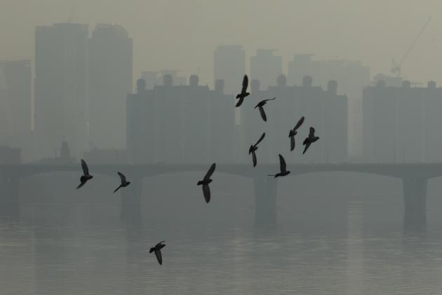 이틀째 수도권 미세먼지 예비저감조치 발령 중인 21일 오전 서울 마포대교에서 바라본 한강이 미세먼지가 뿌옇게 덮인 가운데 새가 날고 있다. 