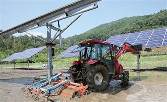 한국서부발전이 개발해 실증에 나서는 ‘추적식 영농형태양광’은 태양의 방향을 추적해 발전하고 태양광 장치를 지지하는 기둥 수를 기존의 10% 수준으로 줄였다.