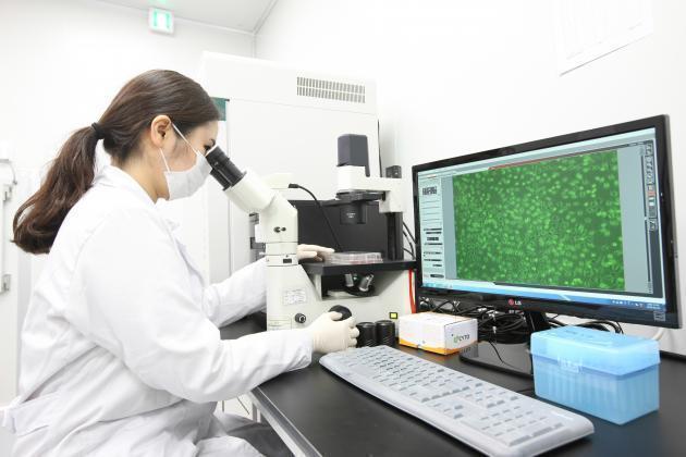 KTC 직원이  GLP시험소에서 세포시험을 진행하고 있다.