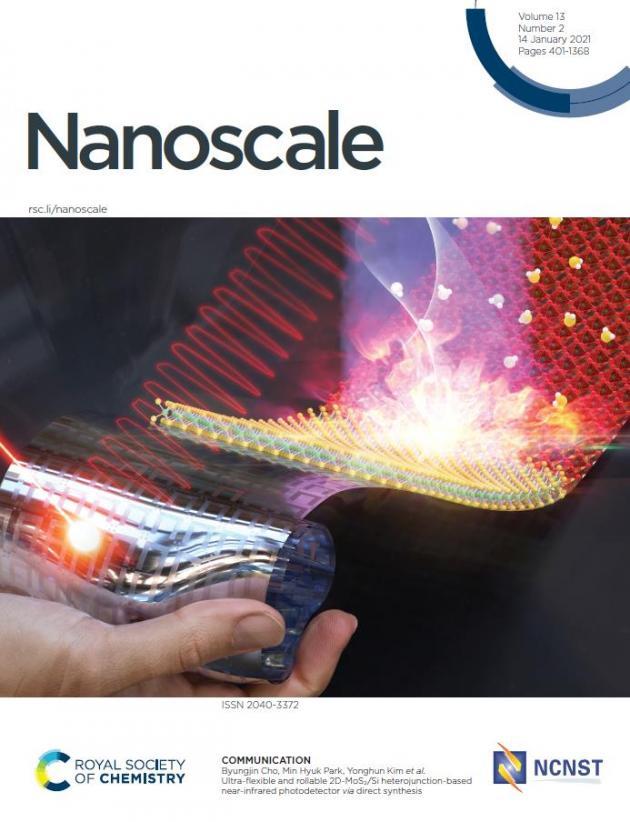 나노스케일(Nanoscale) 1월호 표지논문 사진
