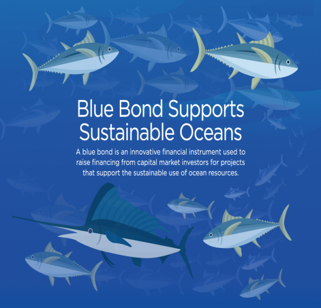 청색채권(Blue Bond) 소개 포스터. 세계은행은 지난 2018년 인도양 섬나라인 세이셸과 함께 1500만달러 규모의 청색채권을 최초로 발행했다. 출처: 세계은행(WB)