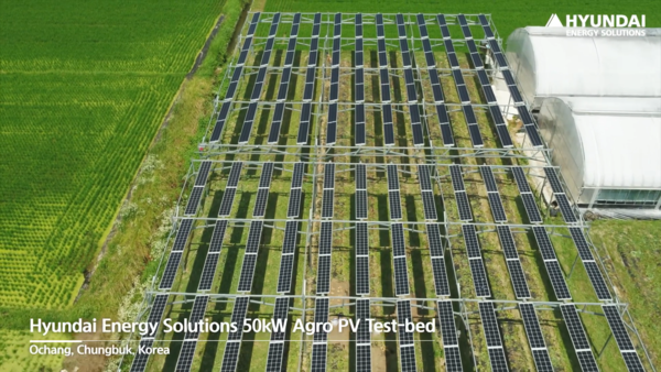 현대에너지솔루션인 충북 오창 농업진흥구역에 구축한 50kW 규모 영농형태양광 실증사이트.
