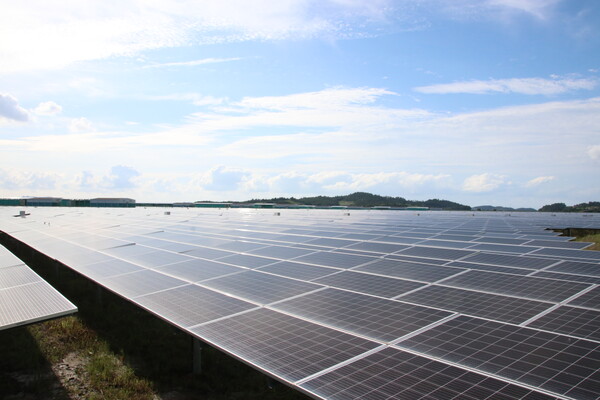 전남 신안군에 설치된 태양광발전소.(사진은 해당 기사와 관련 없음.)