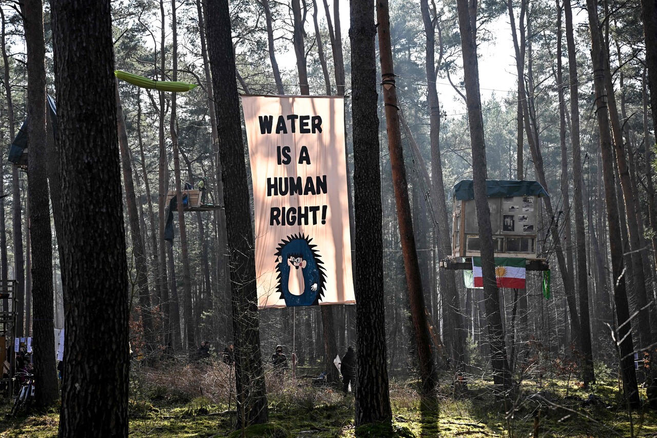 테슬라 독일공장 인근 숲속 시위./제공=로이터 연합뉴스
