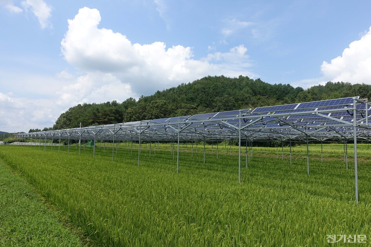 영농형태양광 예시 [사진=전남도]