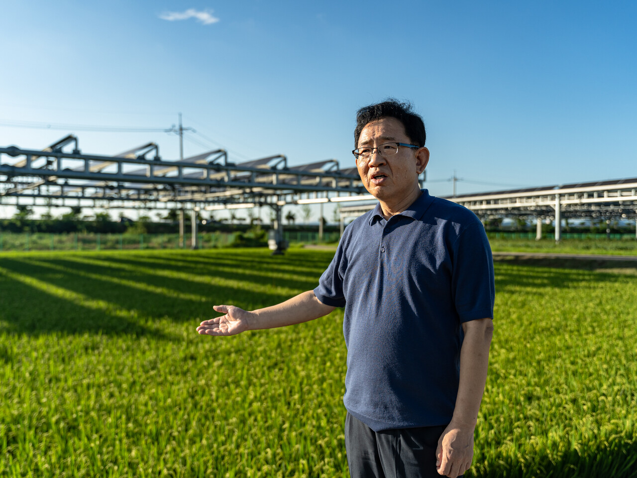 우상균 한전 전력연구원 에너지신기술연구원 재생e솔루션팀장이 전남 나주에 설치된 영농형 태양광 실증단지에 대해 설명하고 있다. [사진=김진후 기자]