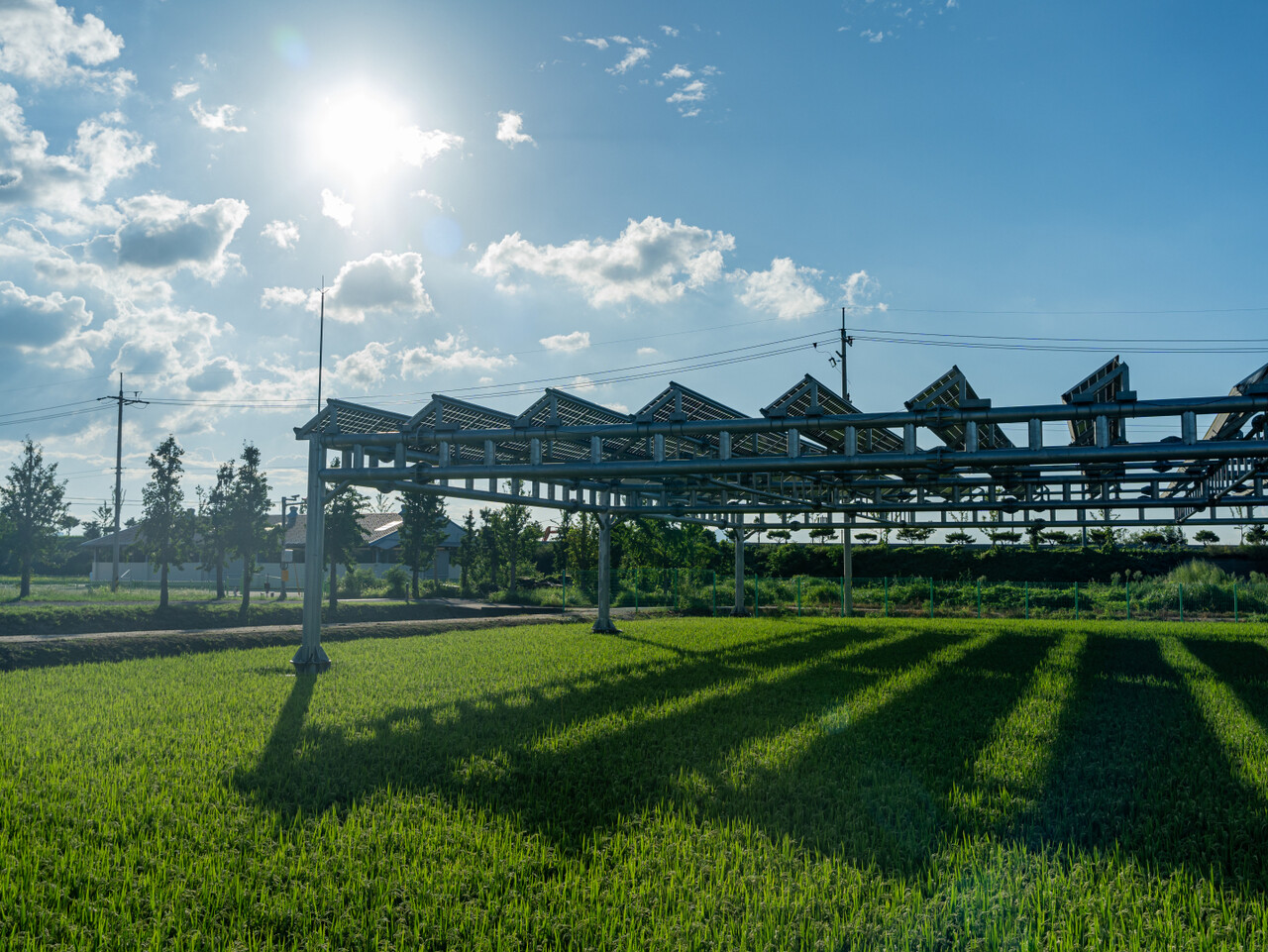 영농형 태양광은 모듈 및 기둥 배치에 따라 채광효과와 발전량 증대 효과를 얻을 수 있다. [사진=김진후 기자]
