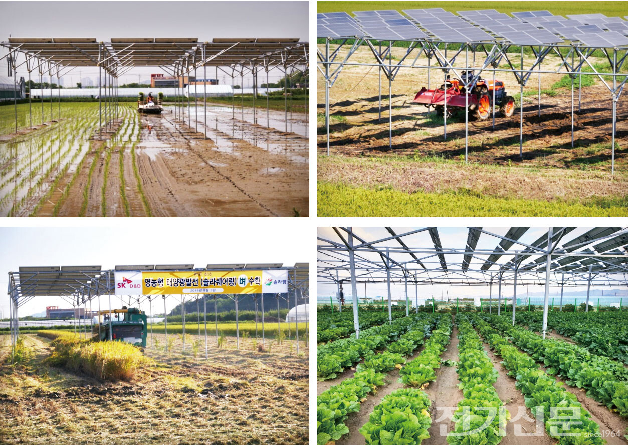 충북 오창에 국내 최초로 설치된 영농형태양광발전소 전경. 사진은 기사의 특정 사실과 관계 없음. [출처=한국영농형태양광협회]