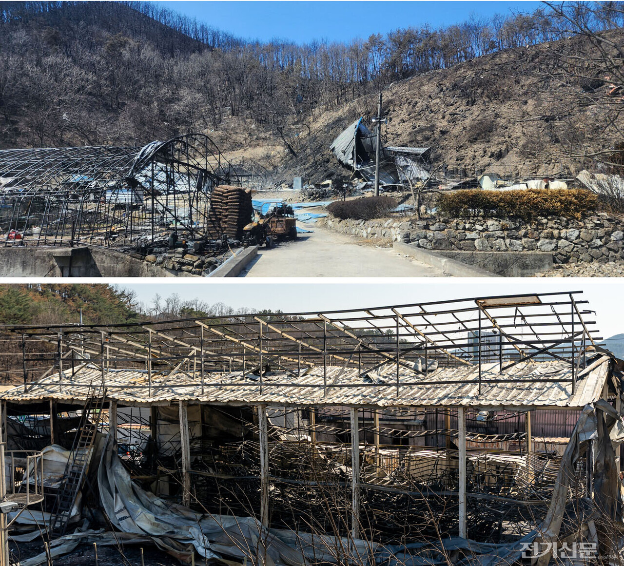 경북 지역 대규모 산불로 안동시 한 마을과 변전소 인근 부지가 전소됐다. [사진=특별취재팀]
