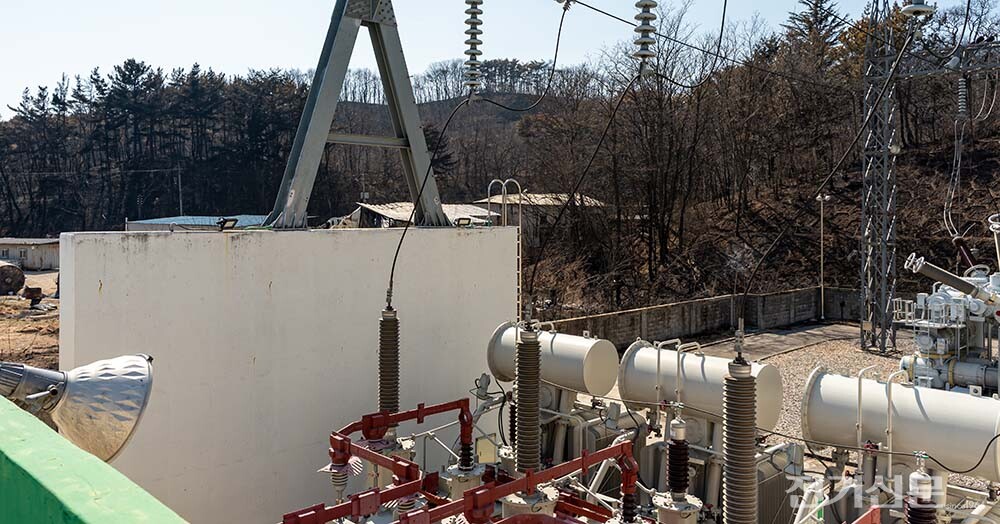 한전은 철탑으로 불이 옮겨붙을 수 있는 나무들을 사전에 제거해 설비 화재를 미연에 방지했다. [사진=특별취재팀]