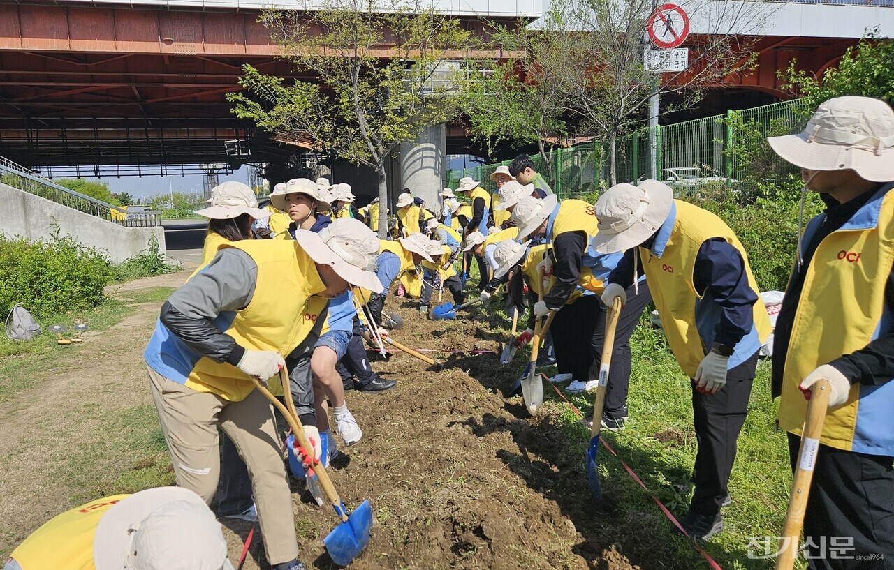 OCI그룹 임직원들이 OCI 숲에서 나무를 심고 있다. [제공=OCI홀딩스]