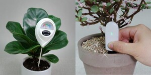 식물전파사, 홈가드닝용 화분 수분측정기 '물주시개' 론칭 - 뉴스 썸네일 이미지