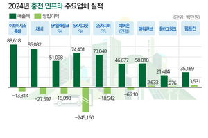 전기차 충전 시장 냉각기, 충전 업계 희비 엇갈려 - 뉴스 썸네일 이미지