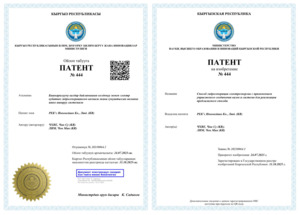 렉스이노베이션, 키르키스스탄 소수력 특허 획득...'기술+사업'으로 KOI... - 뉴스 썸네일 이미지